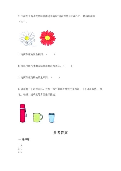 教科版一年级下册科学期末测试卷附参考答案（轻巧夺冠）.docx
