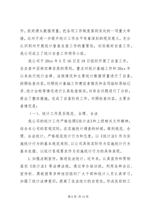 最新统计工作自查报告范文 (2).docx