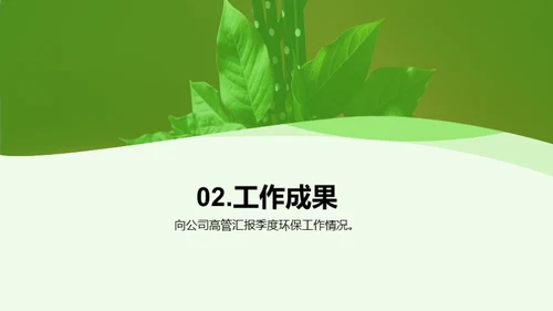 绿色守护：全面行动