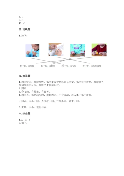 教科版一年级下册科学期末测试卷带解析答案.docx