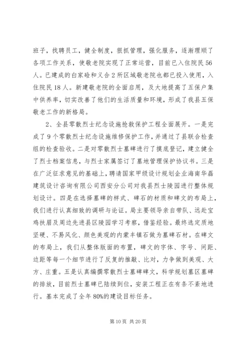 乡镇民政局工作总结.docx