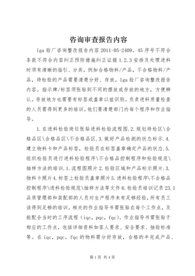 咨询审查报告内容 (2).docx