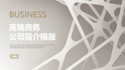 银色高端商务公司简介通用PPT模板