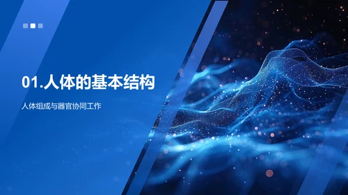 解析人体科学PPT模板
