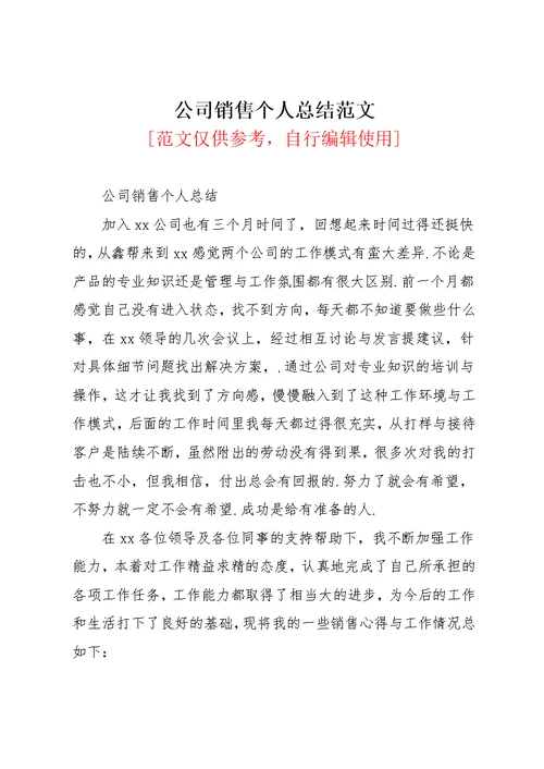 公司销售个人总结范文(共4页)