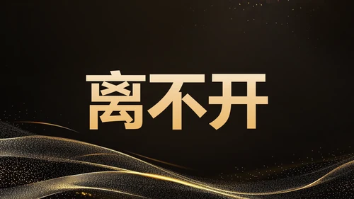 黑色黑金风年会开场快闪 PPT模板
