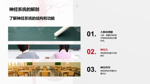 解剖学的医学精要