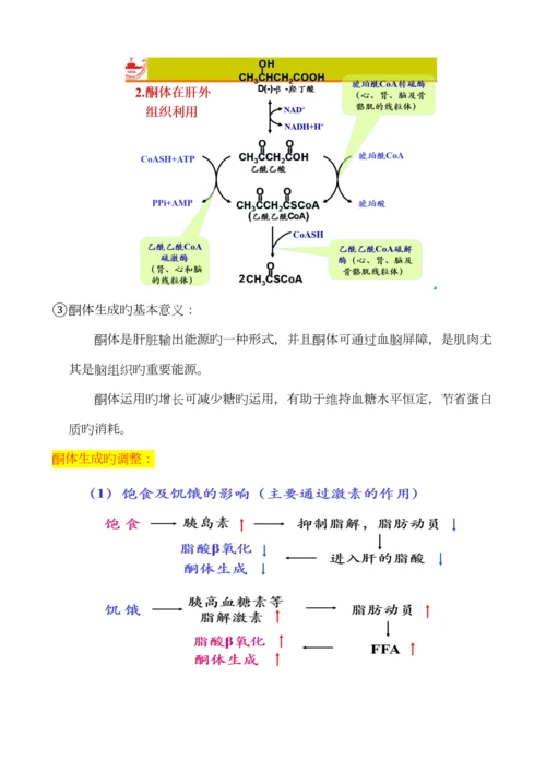 2023年生物化学脂质代谢知识点总结.docx