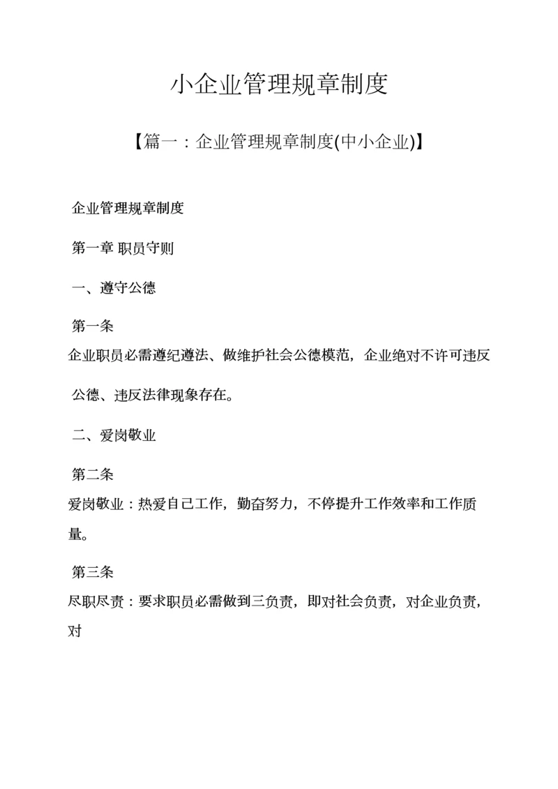 小企业管理专项规章新规制度.docx