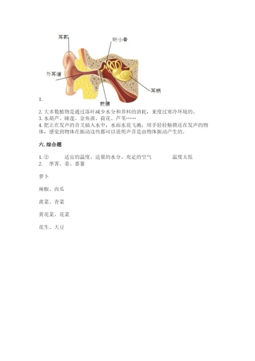 2022苏教版科学三年级下册期末测试卷附答案解析.docx