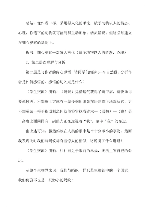 2022《蚂蚁》教案
