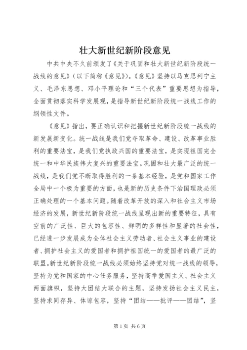 壮大新世纪新阶段意见.docx