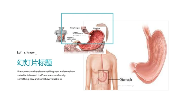 医疗医学胃肠道消化ppt课件动态模板