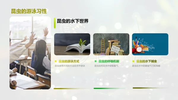 解析昆虫的秘密