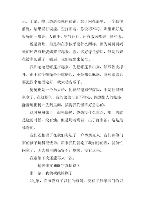2024年精选作文600字真情