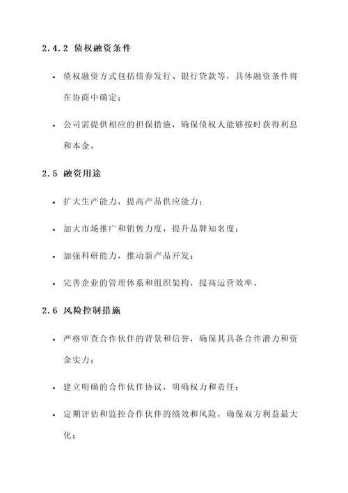 企业合伙人融资方案