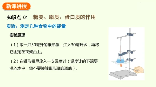 4.2.1食物中的营养物质-七年级生物下学期同步精品课件（2024人教版）(共43张PPT)