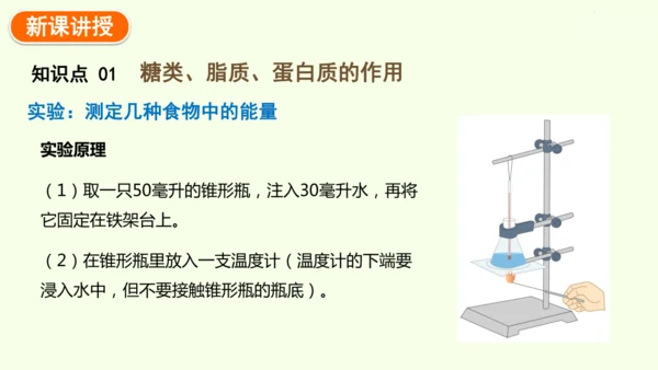 4.2.1食物中的营养物质-七年级生物下学期同步精品课件（2024人教版）(共43张PPT)