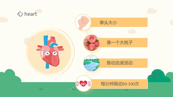 蓝色卡通幼儿园课件身体器官知多少幼儿园医学科普PPT模板