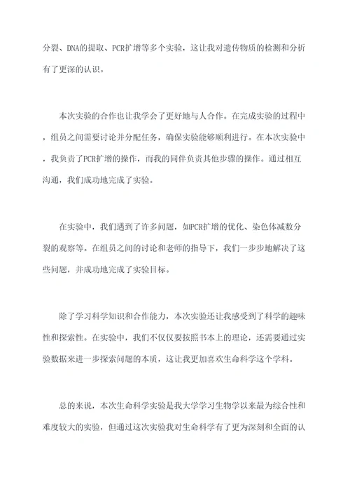 合作实验个人总结