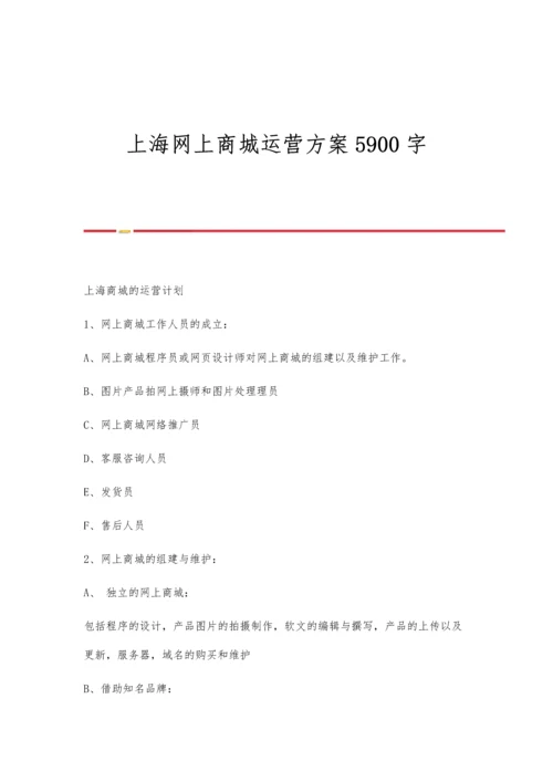 上海网上商城运营方案5900字.docx