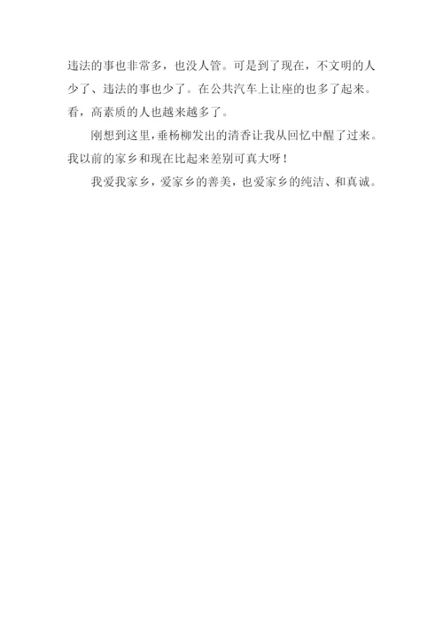 家乡的变化作文300字三年级.docx