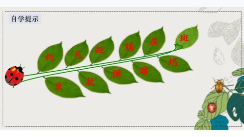 4昆虫备忘录   课件