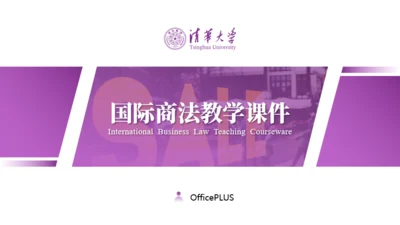 紫色学术风国际商法教学课件