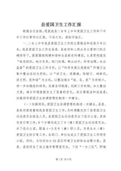 县爱国卫生工作汇报.docx