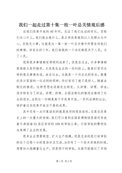 我们一起走过第十集一枝一叶总关情观后感.docx