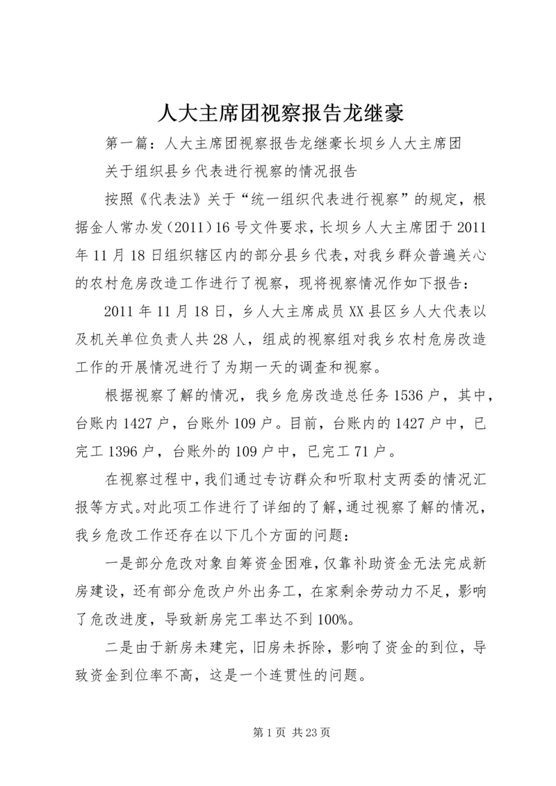 人大主席团视察报告龙继豪.docx