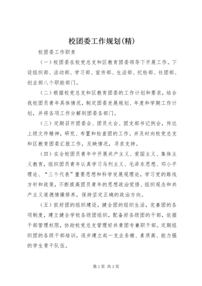 校团委工作规划(精) (5).docx