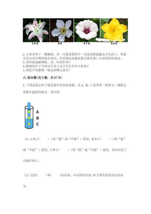 教科版四年级下册科学第一单元《植物的生长变化》测试卷【b卷】.docx