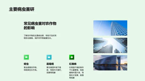 大暑节气农事指南PPT模板