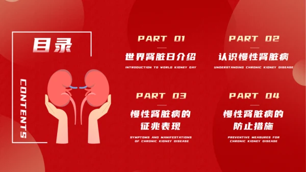 世界肾脏日慢性肾脏病通用PPT模板