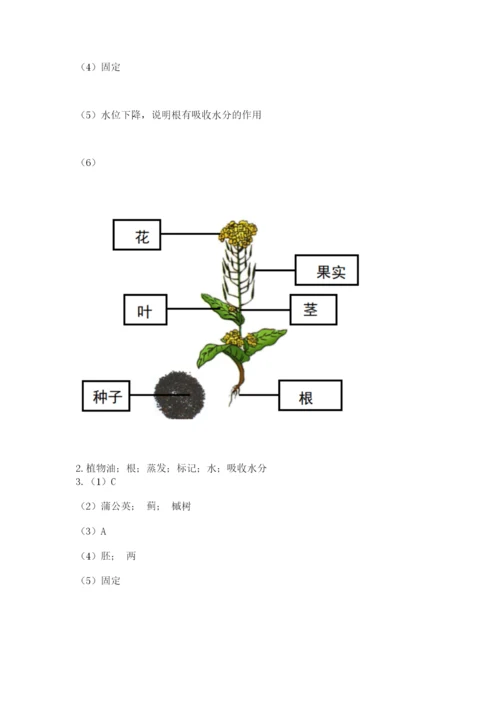 科学四年级下册第一单元《植物的生长变化》测试卷及答案【考点梳理】.docx