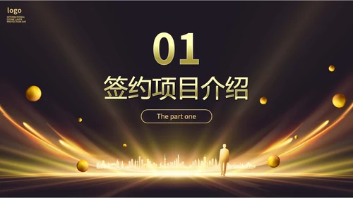 黑金房地产行业启动仪式PPT
