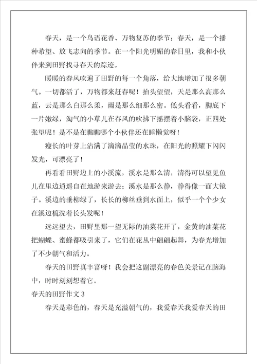 春天的田野作文12篇