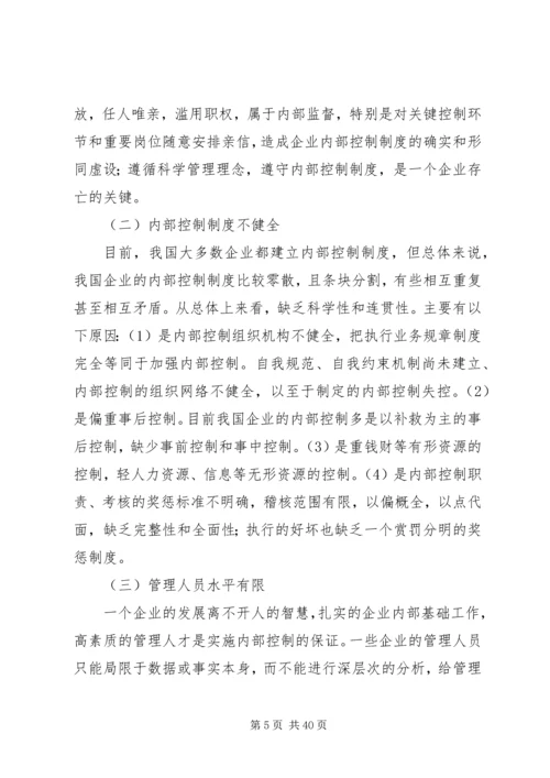 企业内部控制制度存在的问题及措施.docx