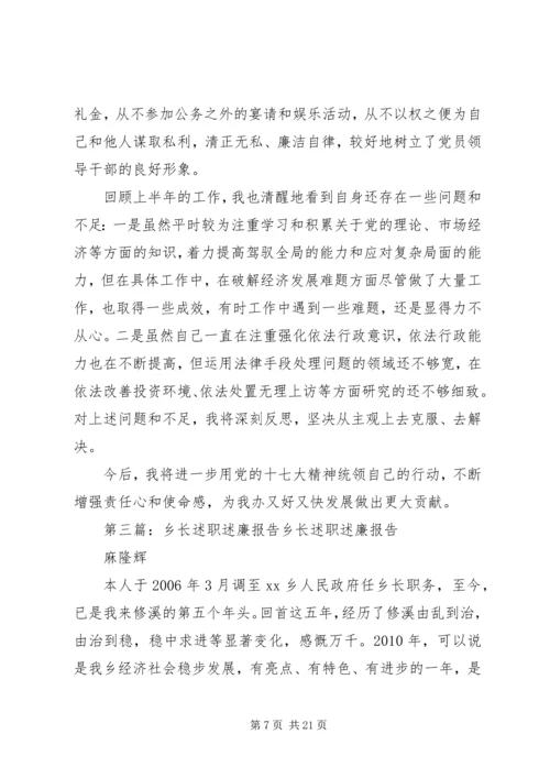 乡长年度述职述廉报告.docx