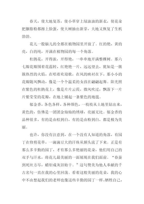 春暖花开作文600字-1.docx