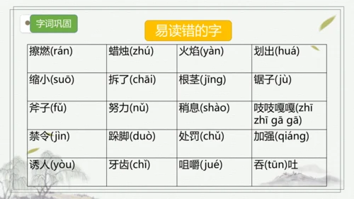 部编版语文三年级上册第三单元复习   课件