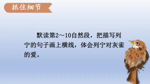【同步课件】部编版语文三年级上册  25.灰雀（2课时）