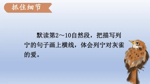 【同步课件】部编版语文三年级上册  25.灰雀（2课时）