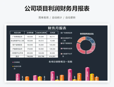 公司项目利润财务月报表