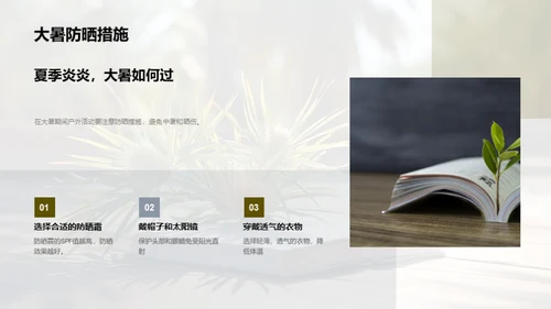 大暑生活指南