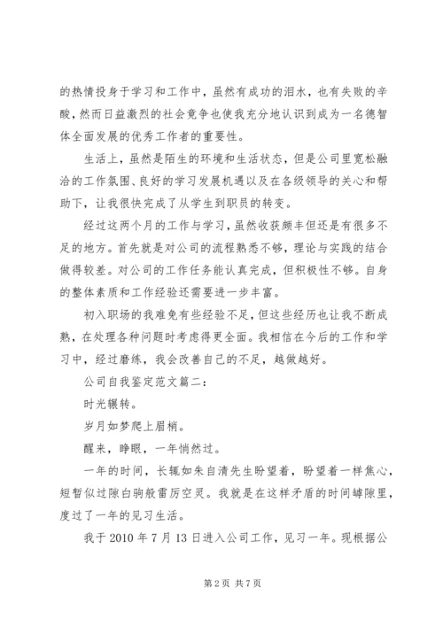 公司自我鉴定范文3篇.docx