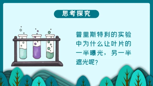 光合作用的原理和应用通用PPT模板