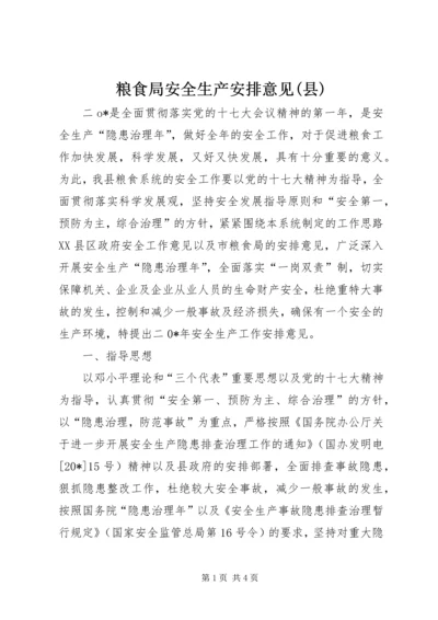 粮食局安全生产安排意见(县).docx