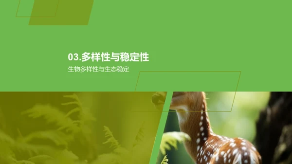 生态保全与生物多样性